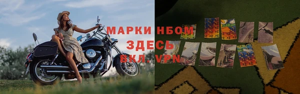 гашик Новодвинск