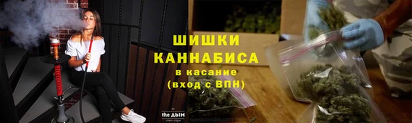 хмурый Арсеньев