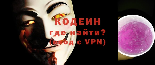 хмурый Арсеньев