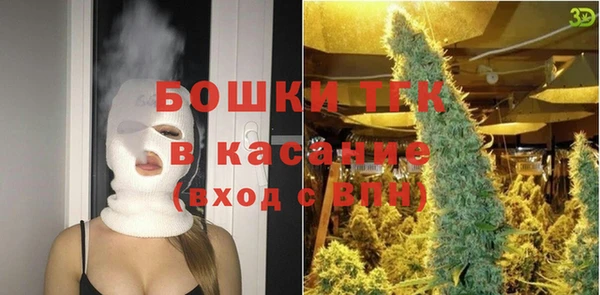 хмурый Арсеньев