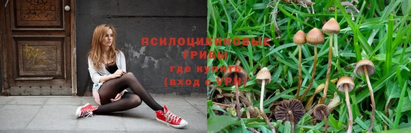 дмт Балахна