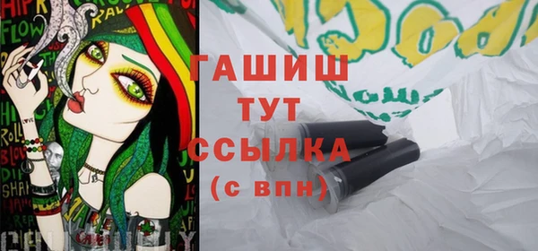 хмурый Арсеньев