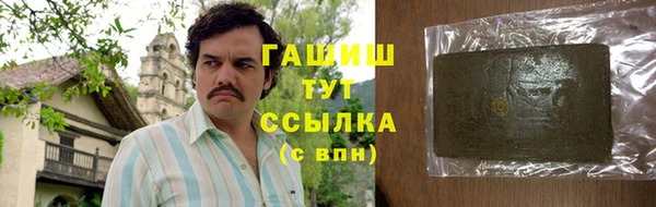 хмурый Арсеньев