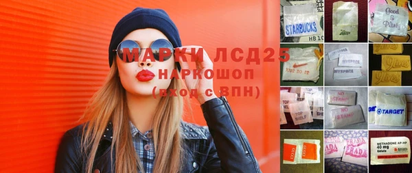 хмурый Арсеньев