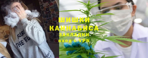 хмурый Арсеньев