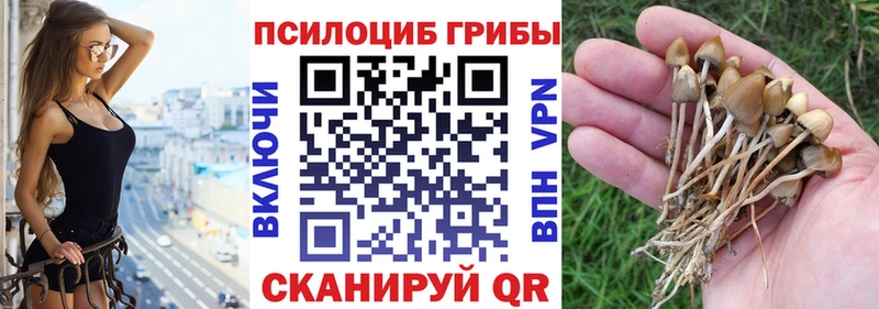 Псилоцибиновые грибы MAGIC MUSHROOMS  Белово 