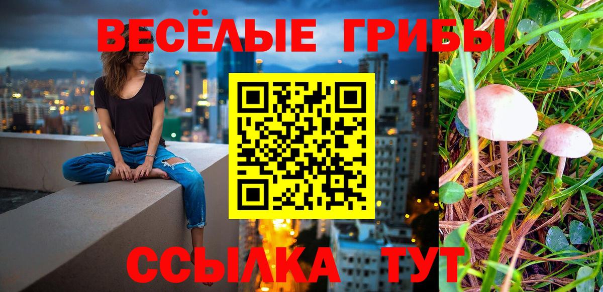 Псилоцибиновые грибы GOLDEN TEACHER  Вход с VPN  Белово 
