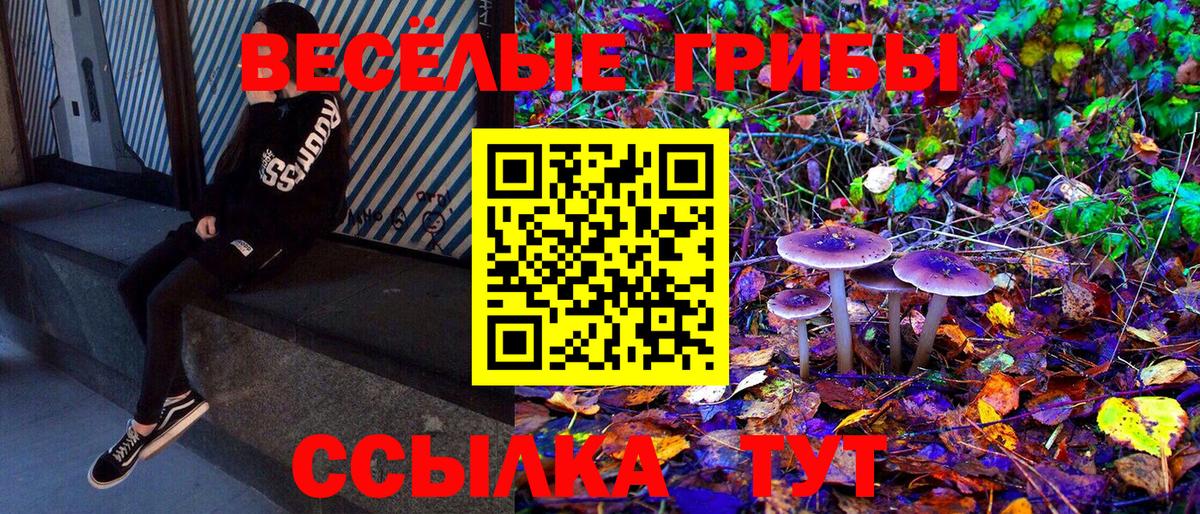 Галлюциногенные грибы мицелий Белово